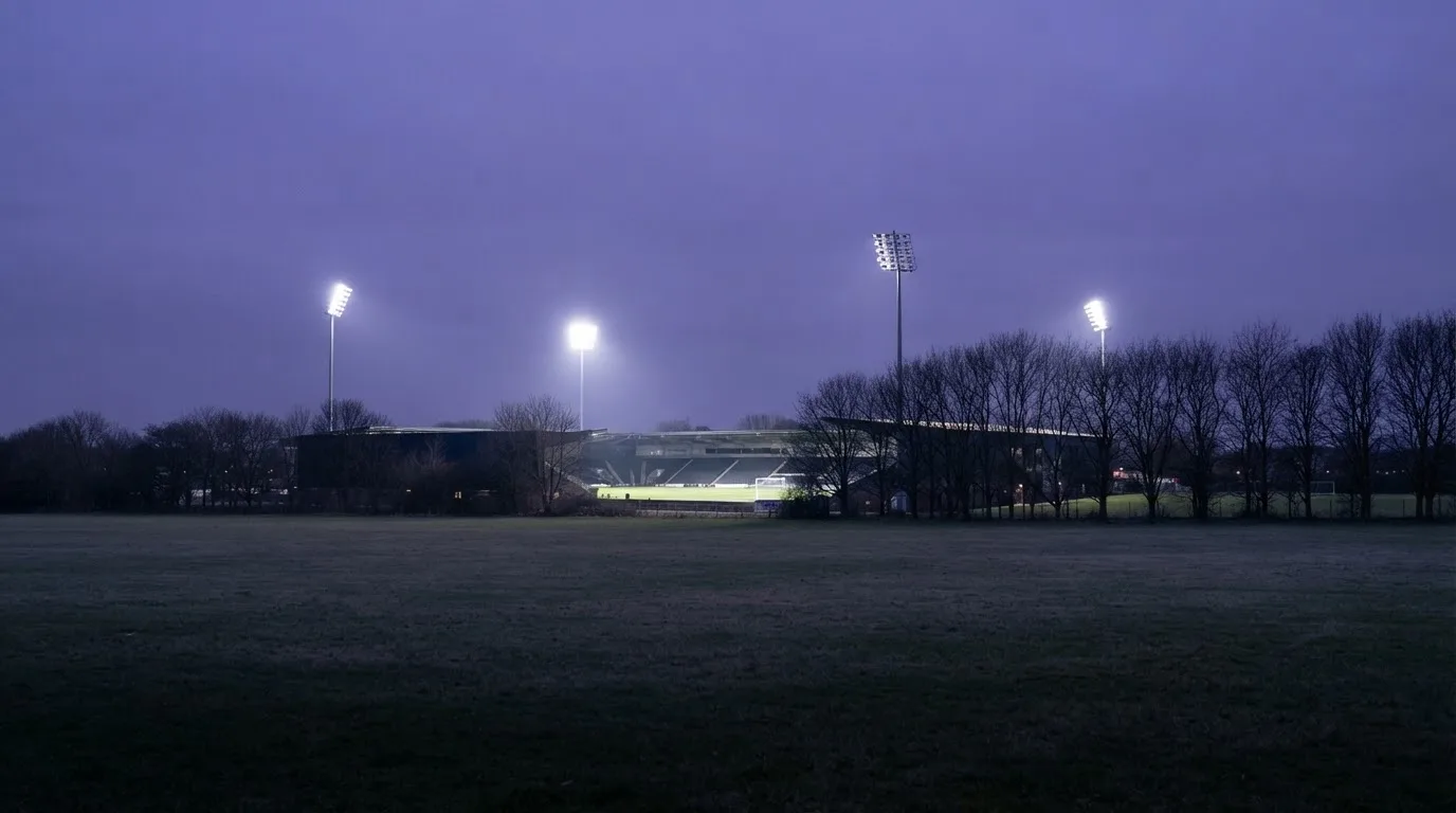 Ein Stadion unter Flutlicht, aus großer Entfernung gesehen, davor eine Reihe kahler Bäume im Dämmerlicht.