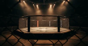 MMA Wetten 2026 – Anbieter, Quoten, Regeln in Deutschland